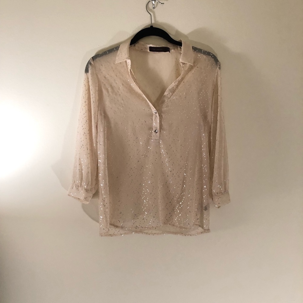 Sheer blouse with gold flecks